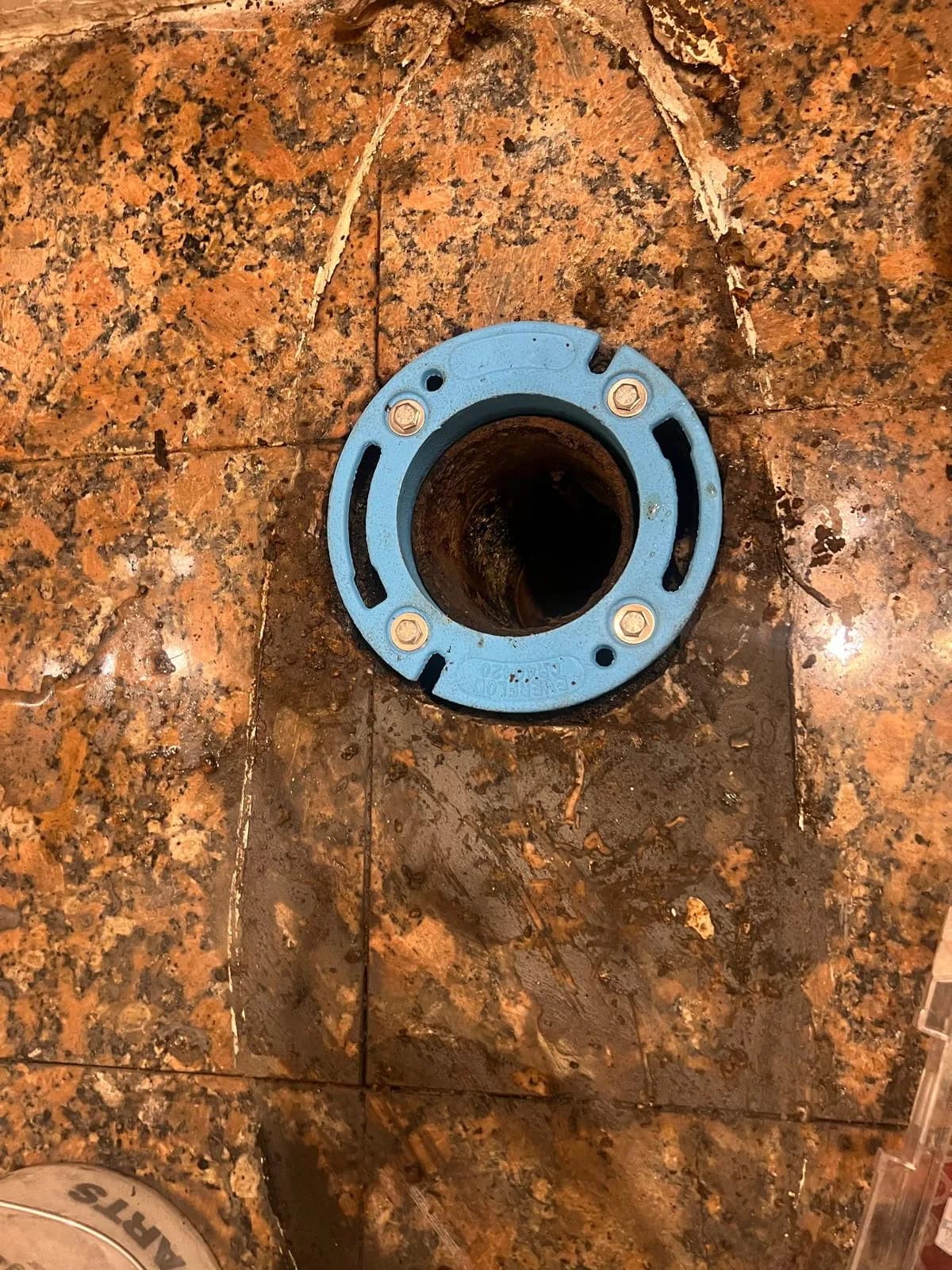 New toilet flange installed and bolted into the subfloor
