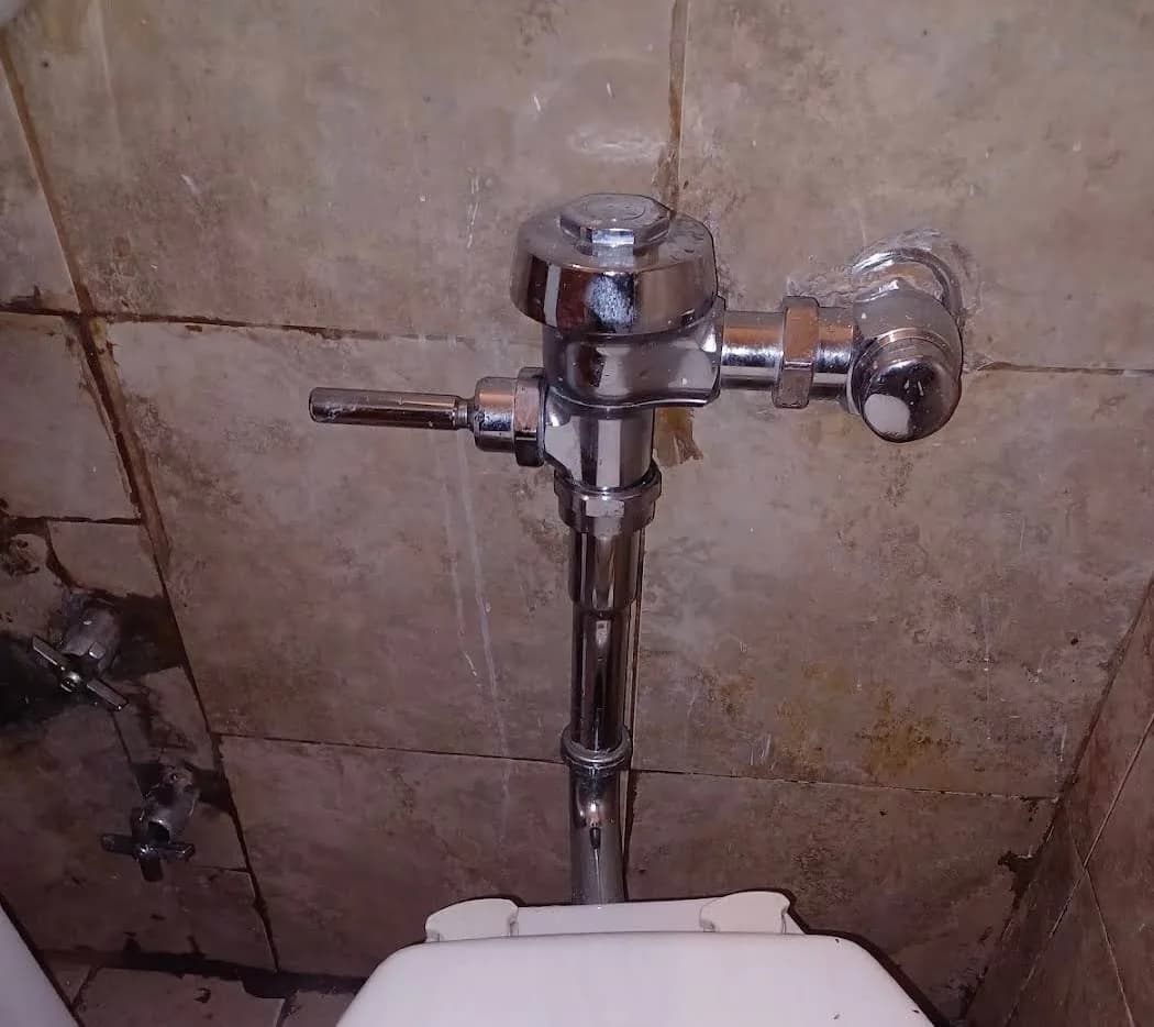 Commercial toilet flush valve (flushometer) installed on the supply line
